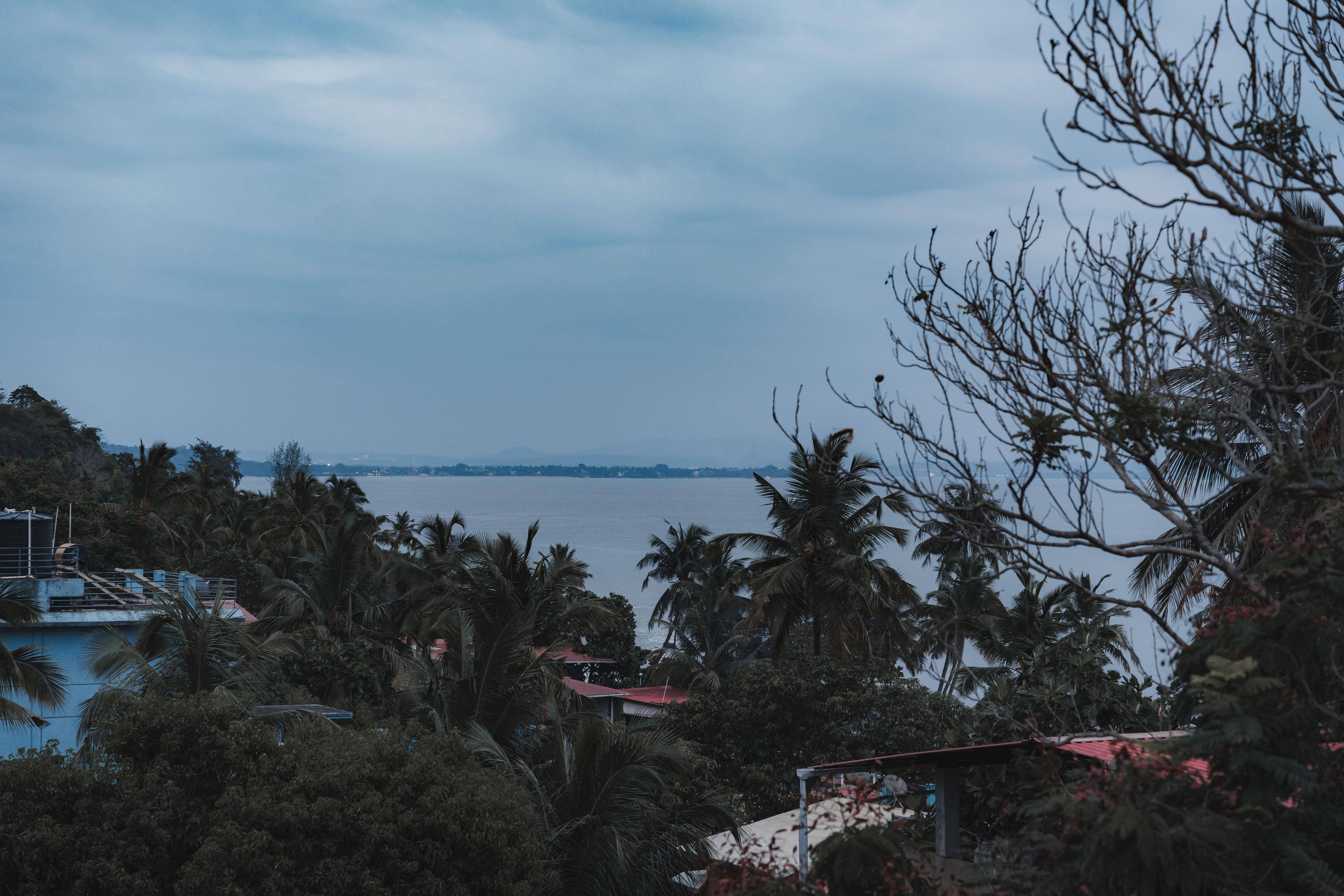Scenic sea view with lush greenery overlooking the coastline